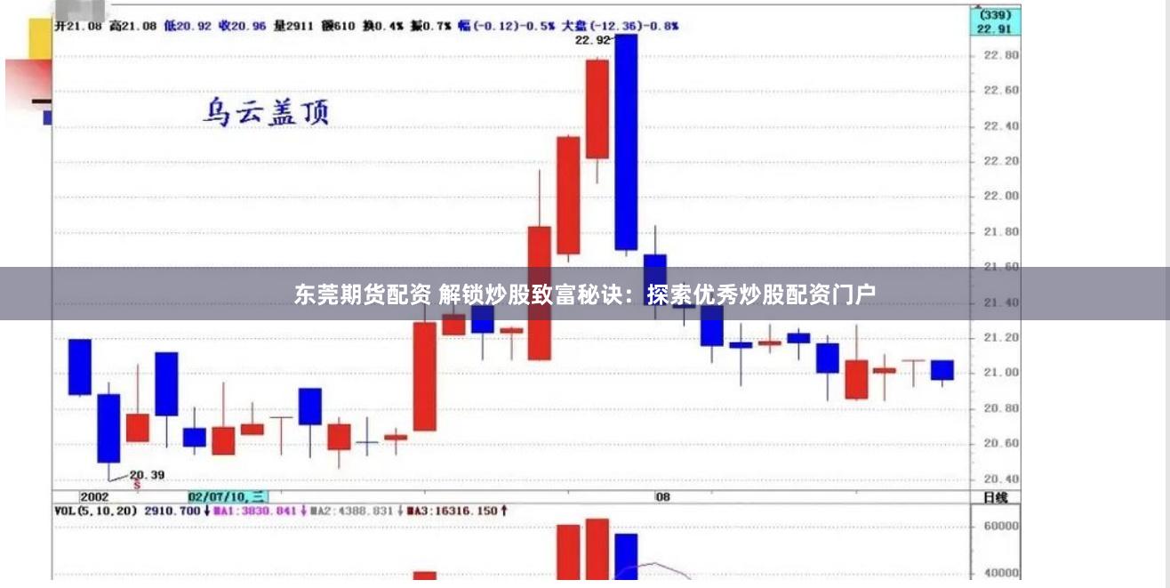 东莞期货配资 解锁炒股致富秘诀：探索优秀炒股配资门户